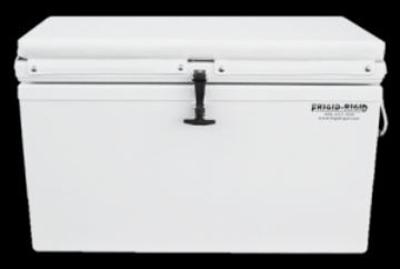 Picture of Cushion 18x21