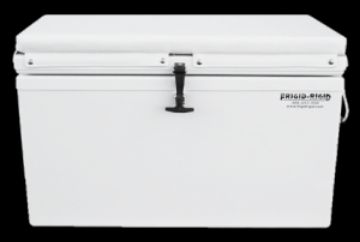 Picture of Cushion 21x54