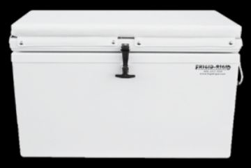 Picture of Cushion 22x45